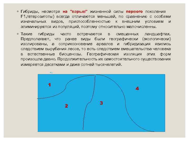 ◦ Гибриды, несмотря на 