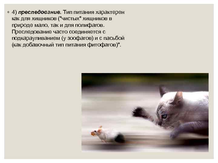 ◦ 4) преследование. Тип питания характерен как для хищников (