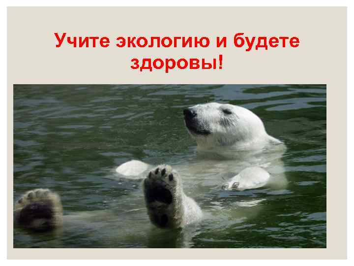 Учите экологию и будете здоровы! 