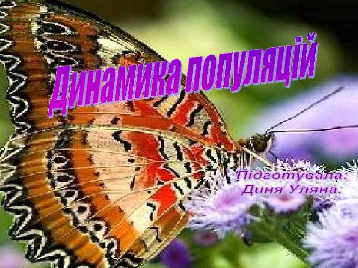 Интегрированный урок биологии - информатики «Динамика биологических популяций» «Математическое моделирование. Биологические модели развития популяций»