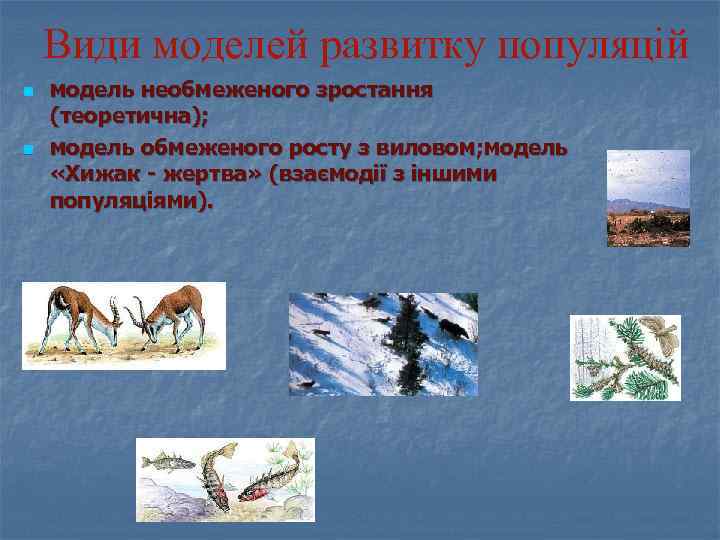 Види моделей развитку популяцій n n модель необмеженого зростання (теоретична); модель обмеженого росту з