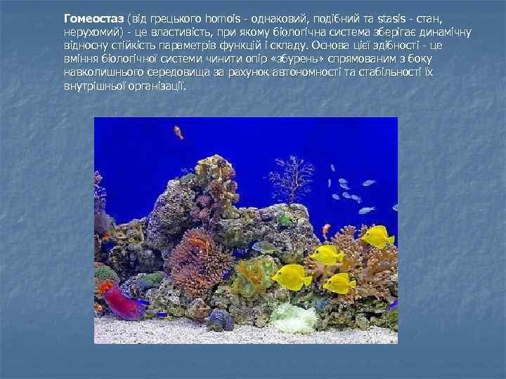 Гомеостаз (від грецького homois - однаковий, подібний та stasis - стан, нерухомий) - це
