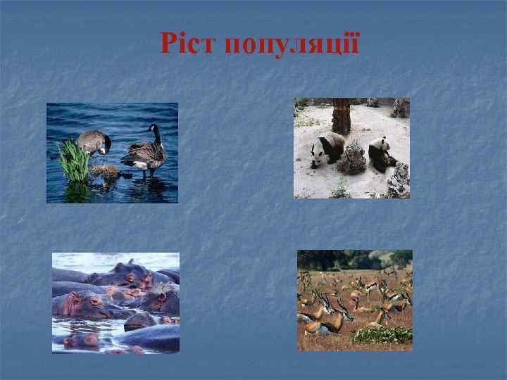 Ріст популяції 