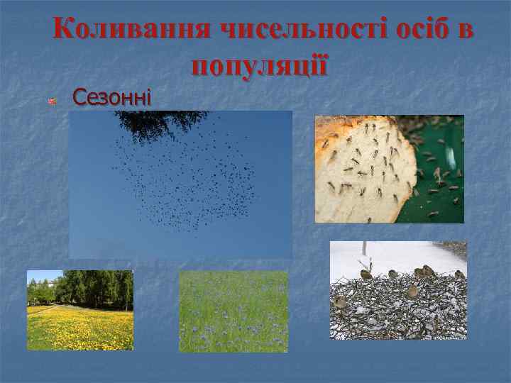 Коливання чисельності осіб в популяції Сезонні 