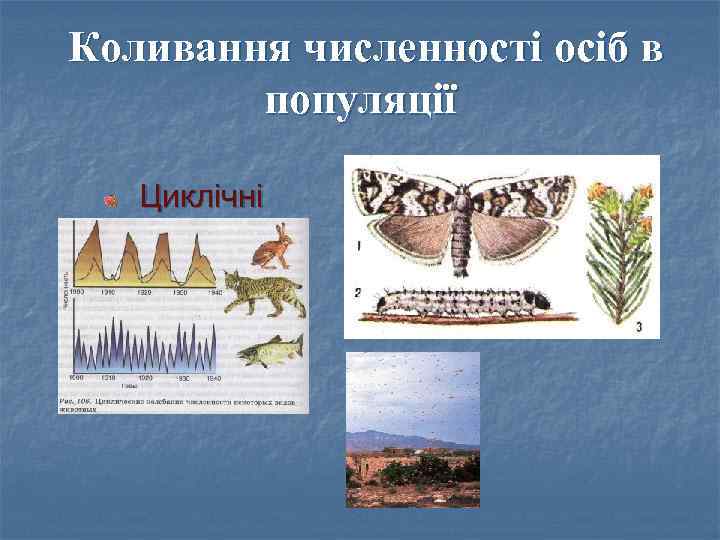 Коливання численності осіб в популяції Циклічні 
