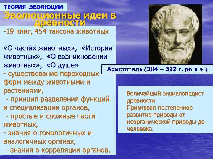 ТЕОРИЯ ЭВОЛЮЦИИ Эволюционные идеи в древности -19 книг, 454 таксона животных «О частях животных»