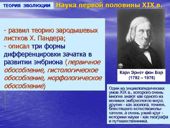 ТЕОРИЯ ЭВОЛЮЦИИ Наука первой половины XIX в. - развил теорию зародышевых листков Х. Пандера;