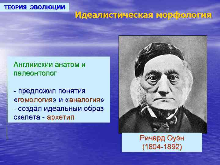 ТЕОРИЯ ЭВОЛЮЦИИ Идеалистическая морфология Английский анатом и палеонтолог - предложил понятия «гомология» и «аналогия»