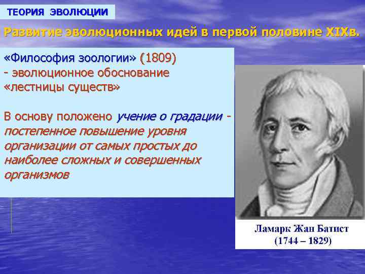 ТЕОРИЯ ЭВОЛЮЦИИ Развитие эволюционных идей в первой половине XIXв. «Философия зоологии» (1809) - эволюционное