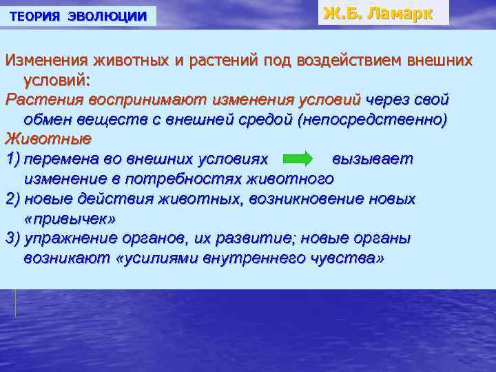 ТЕОРИЯ ЭВОЛЮЦИИ Ж. Б. Ламарк Изменения животных и растений под воздействием внешних условий: Растения