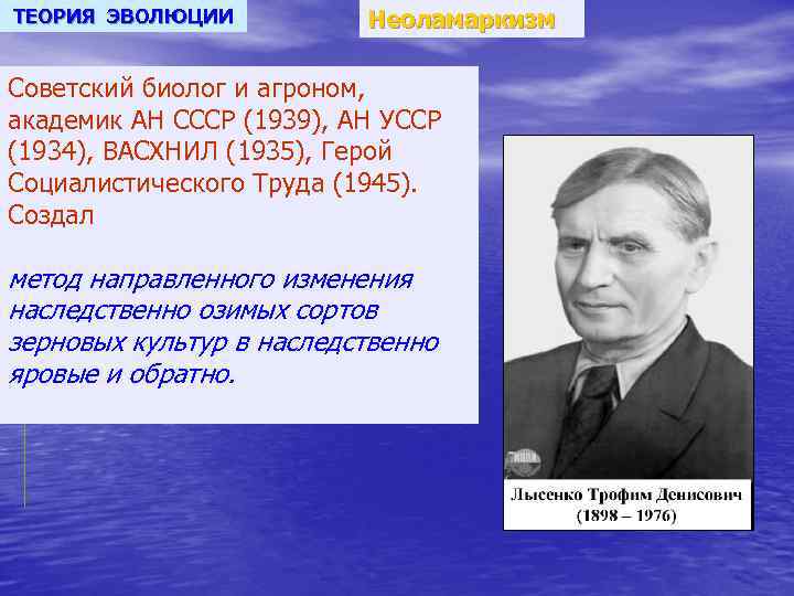 ТЕОРИЯ ЭВОЛЮЦИИ Неоламаркизм Cоветский биолог и агроном, академик АН СССР (1939), АН УССР (1934),