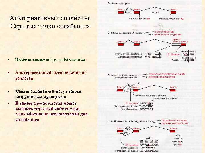 Сплайсинг рнк у эукариот. Схема альтернативного сплайсинга. Альтернативный сплайсинг схема. Схема альтернативного сплайсинга у эукариот. Сплайсинг мутации.