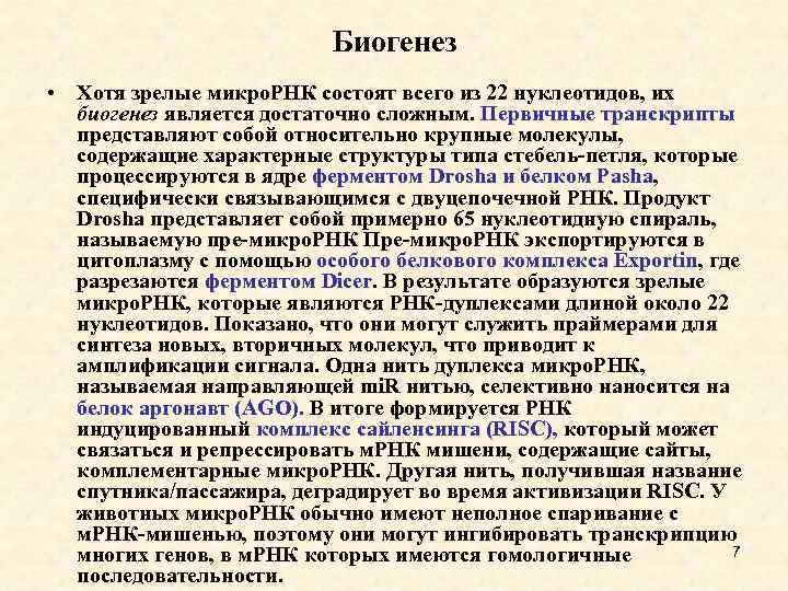 Биогенез • Хотя зрелые микро. РНК состоят всего из 22 нуклеотидов, их биогенез является