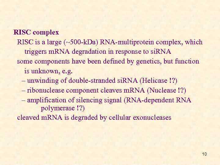 RISC complex RISC is a large (~500 -k. Da) RNA-multiprotein complex, which triggers m.