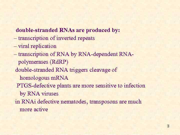 double-stranded RNAs are produced by: – transcription of inverted repeats – viral replication –