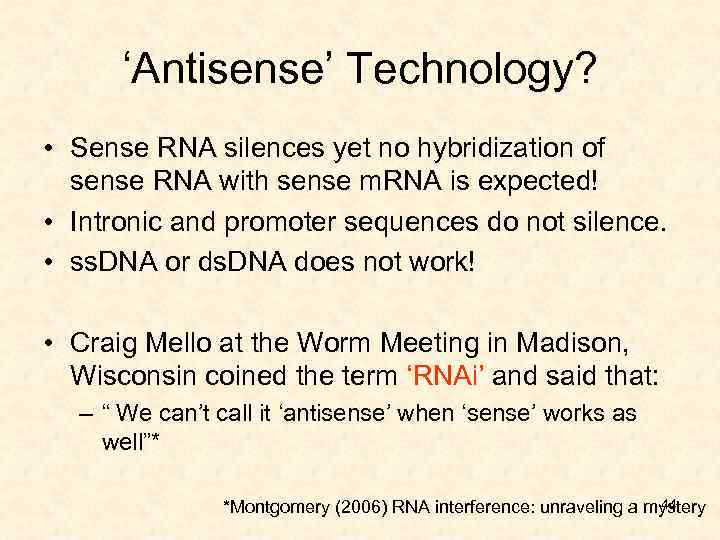 ‘Antisense’ Technology? • Sense RNA silences yet no hybridization of sense RNA with sense