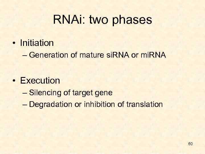 RNAi: two phases • Initiation – Generation of mature si. RNA or mi. RNA