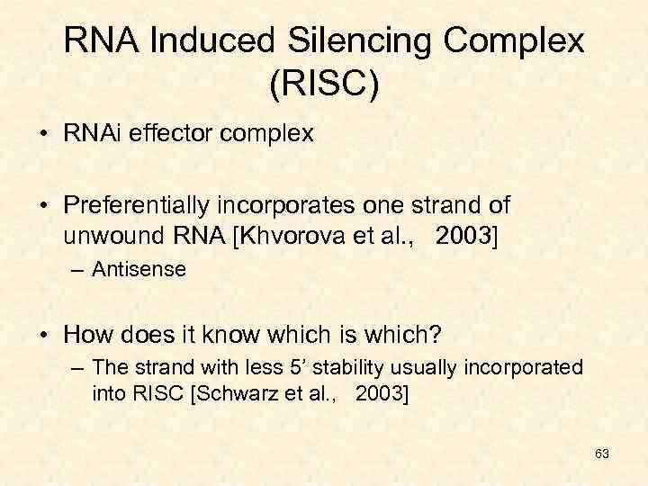 RNA Induced Silencing Complex (RISC) • RNAi effector complex • Preferentially incorporates one strand