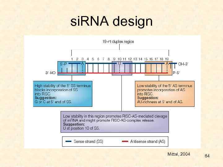 si. RNA design Mittal, 2004 64 