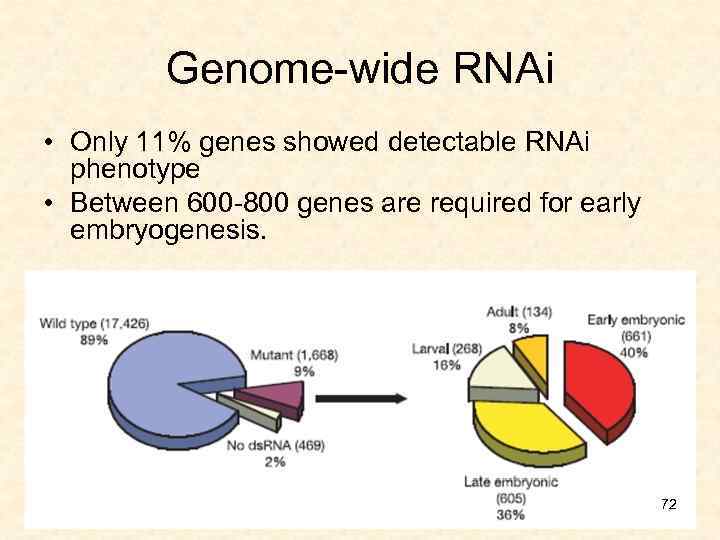 Genome-wide RNAi • Only 11% genes showed detectable RNAi phenotype • Between 600 -800
