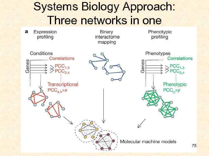 Systems Biology Approach: Three networks in one 75 