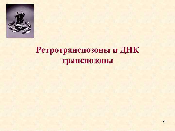 Ретротранспозоны и ДНК транспозоны 1 
