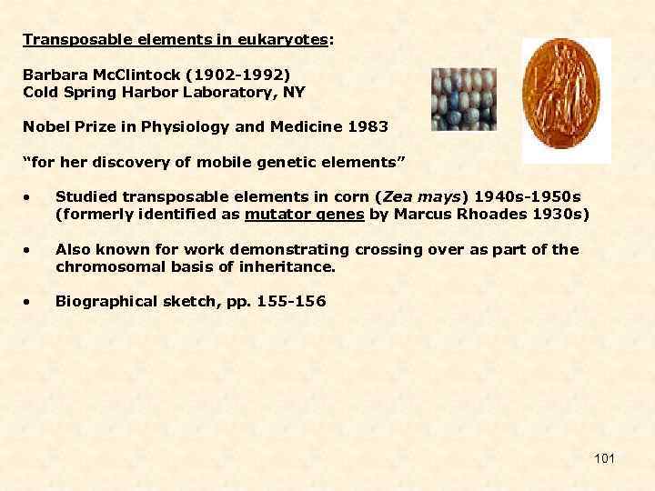 Transposable elements in eukaryotes: Barbara Mc. Clintock (1902 -1992) Cold Spring Harbor Laboratory, NY