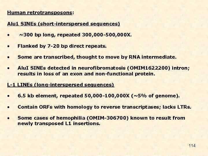 Human retrotransposons: Alu 1 SINEs (short-interspersed sequences) • ~300 bp long, repeated 300, 000