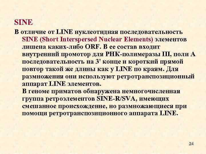SINE В отличие от LINE нуклеотидная последовательность SINE (Short Interspersed Nuclear Elements) элементов лишена