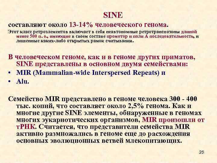 SINE составляют около 13 -14% человеческого генома. Этот класс ретроэлементов включает в себя неавтономные