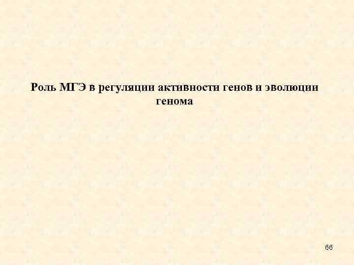 Роль МГЭ в регуляции активности генов и эволюции генома 66 