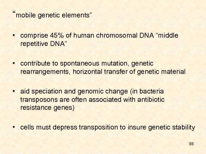 “mobile genetic elements” • comprise 45% of human chromosomal DNA “middle repetitive DNA” •