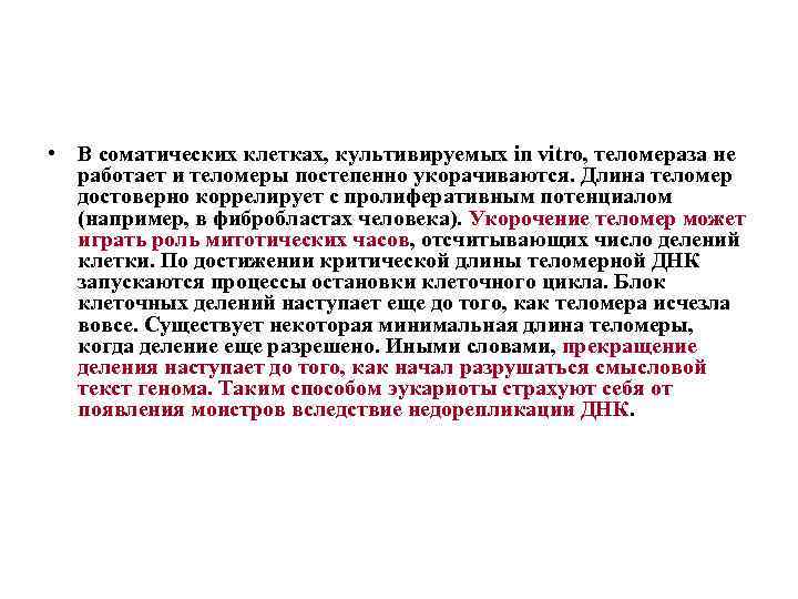  • В соматических клетках, культивируемых in vitro, теломераза не работает и теломеры постепенно