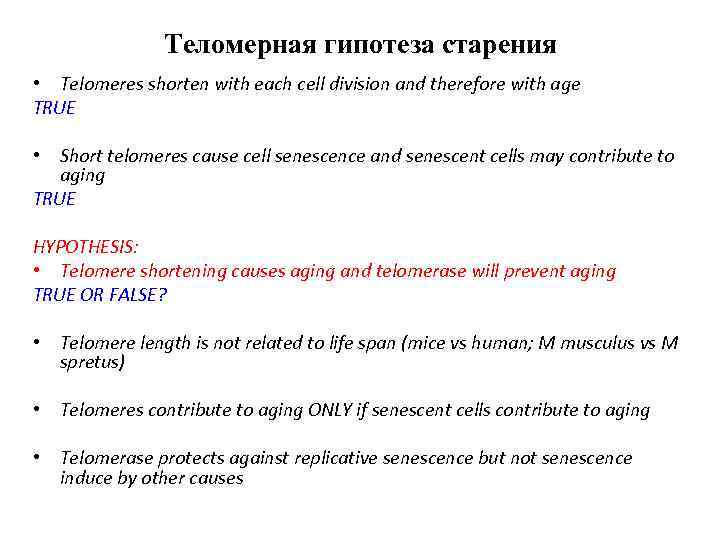 Теломерная гипотеза старения • Telomeres shorten with each cell division and therefore with age