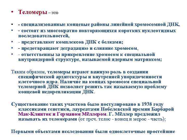  • Теломеры – это • специализованные концевые районы линейной хромосомной ДНК, • состоят