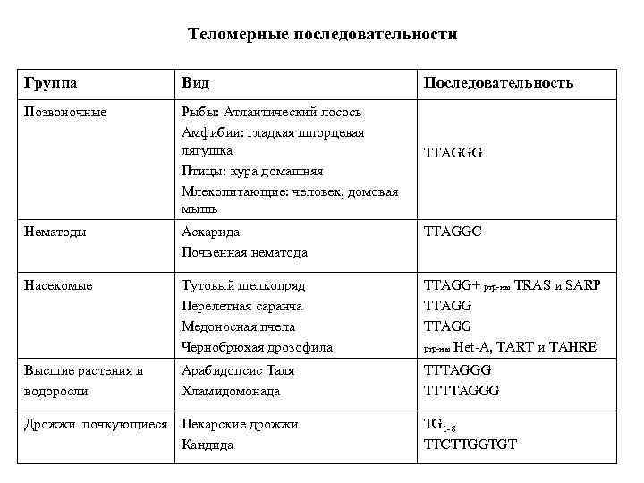 Теломерные последовательности Группа Вид Последовательность Позвоночные Рыбы: Атлантический лосось Амфибии: гладкая шпорцевая лягушка Птицы: