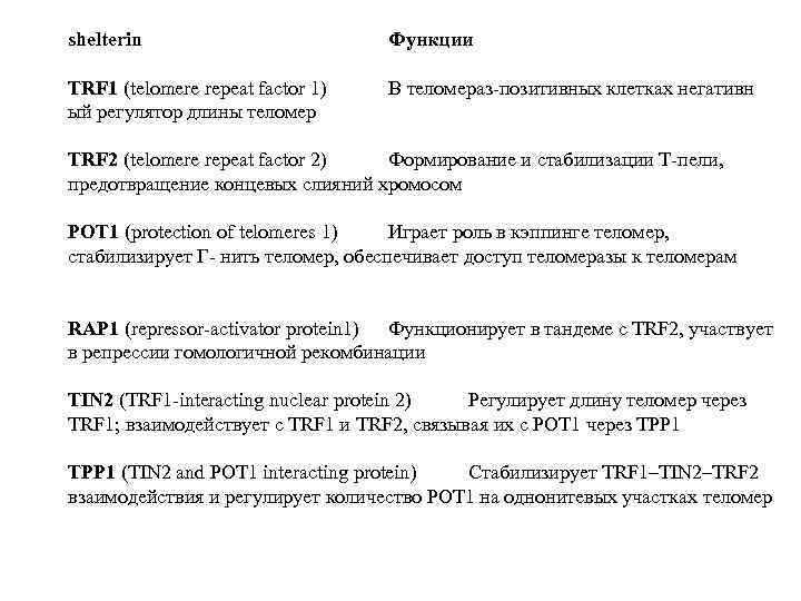 shelterin Функции TRF 1 (telomere repeat factor 1) ый регулятор длины теломер В теломераз-позитивных