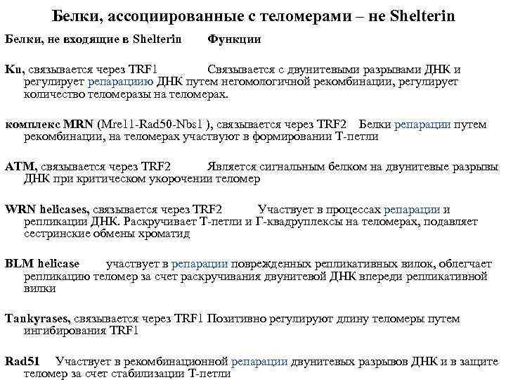 Белки, ассоциированные с теломерами – не Shelterin Белки, не входящие в Shelterin Функции Ku,