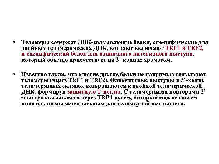  • Теломеры содержат ДНК связывающие белки, спе цифические для двойных теломерических ДНК, которые