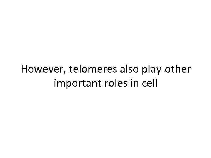 However, telomeres also play other important roles in cell 