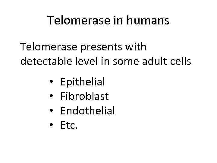 Telomerase in humans Telomerase presents with detectable level in some adult cells • •