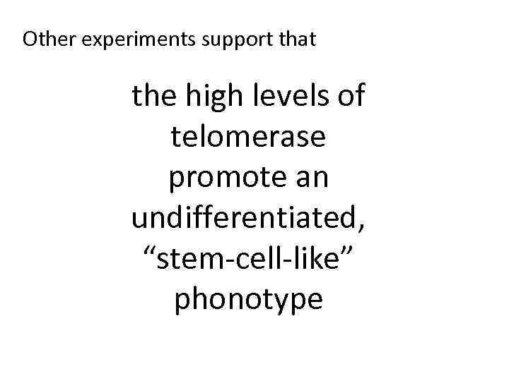 Other experiments support that the high levels of telomerase promote an undifferentiated, “stem-cell-like” phonotype