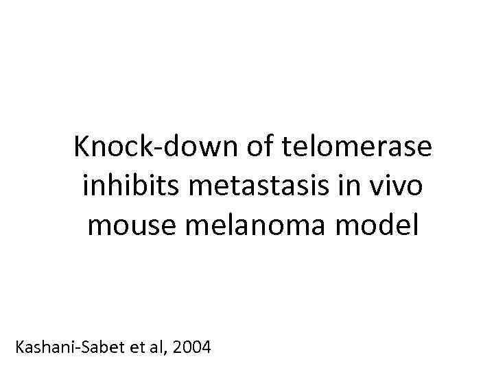 Knock-down of telomerase inhibits metastasis in vivo mouse melanoma model Kashani-Sabet et al, 2004