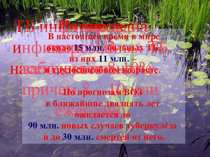 ТБ инфицирована Из числа В настоящее время в мире около 15 млн. больных ТБ,