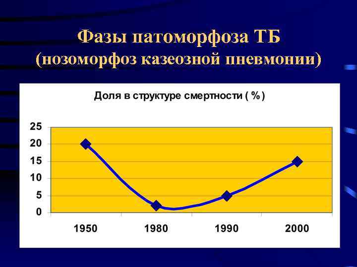 Фазы патоморфоза ТБ (нозоморфоз казеозной пневмонии) 