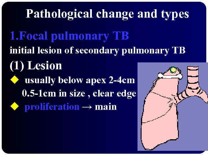 Pathological change and types 1. Focal pulmonary TB initial lesion of secondary pulmonary TB