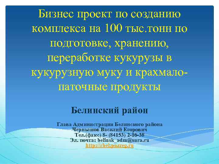 Бизнес проект по созданию комплекса на 100 тыс. тонн по подготовке, хранению, переработке кукурузы