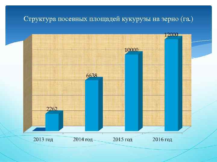 Структура посевных площадей кукурузы на зерно (га. ) 