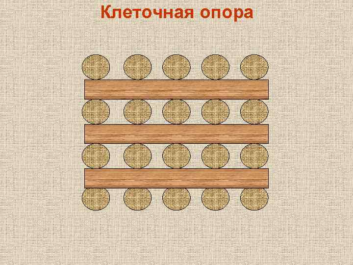 Клеточная опора 