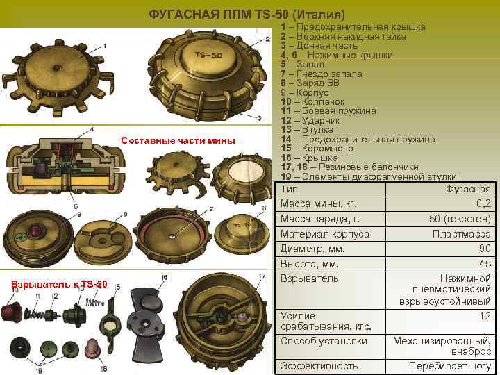 ФУГАСНАЯ ППМ TS-50 (Италия) Составные части мины Взрыватель к TS-50 1 – Предохранительная крышка